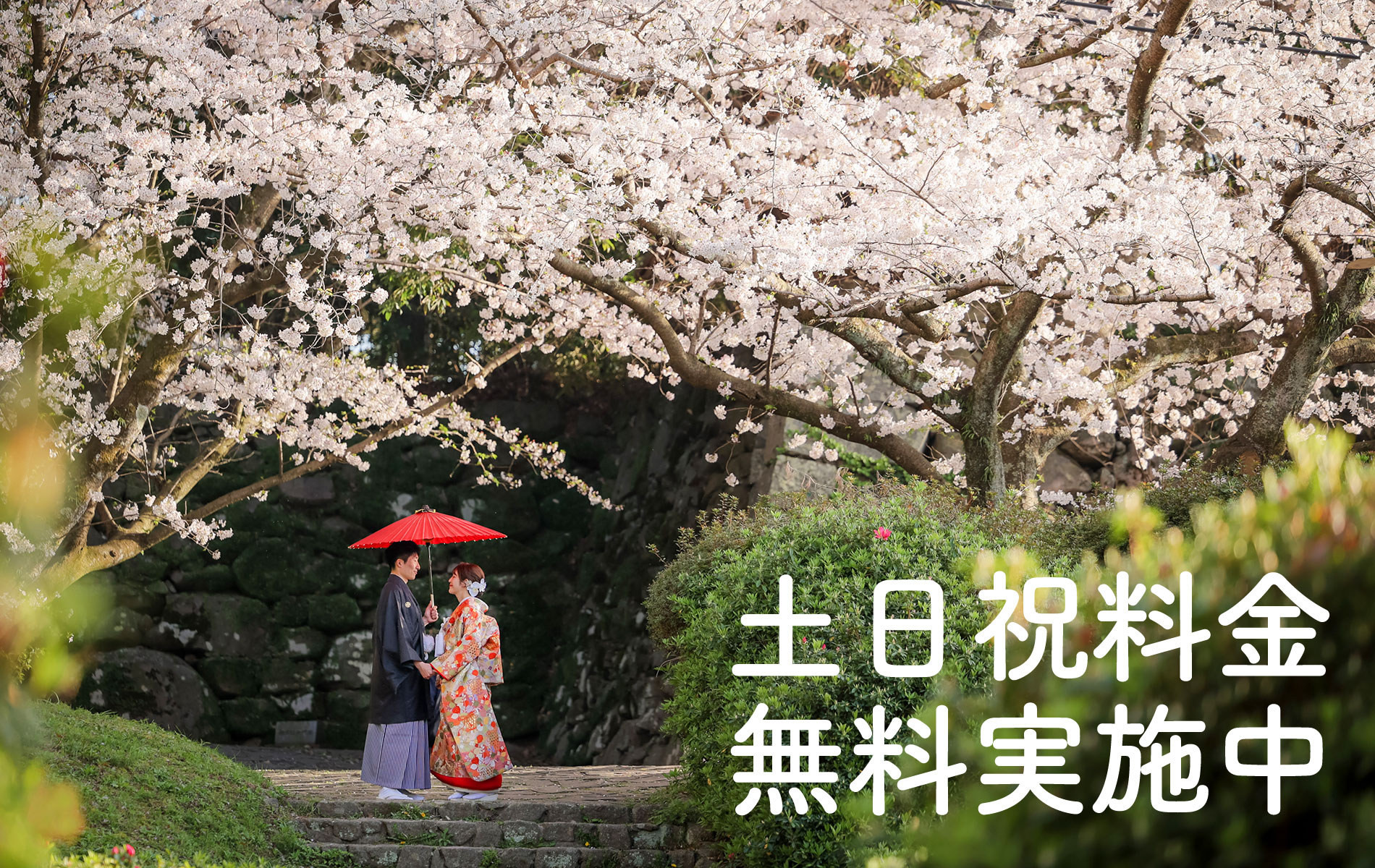 紅葉前撮りロケーション